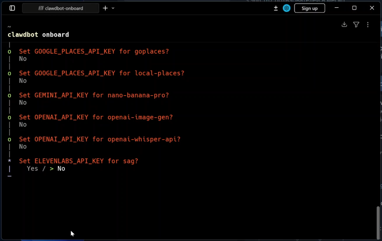 Налаштування API ключів для навичок. Якщо у вас немає ключів, залишайте 'No' (Enter) для кожного пункту.