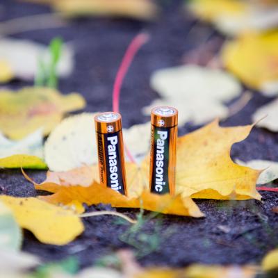 Батарейка Panasonic LR06 Alkaline Power * 2 (LR6REB/2BP) - фото 3