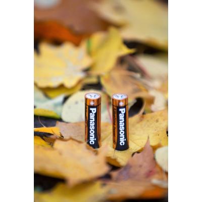 Батарейка Panasonic LR06 Alkaline Power * 2 (LR6REB/2BP) - фото 5 Батарейка Panasonic LR06 Alkaline Power * 2 (LR6REB/2BP) - фото 5