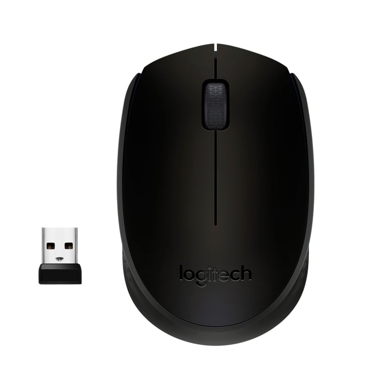 Мишка Logitech M171 Black (910-004424) - фото 1