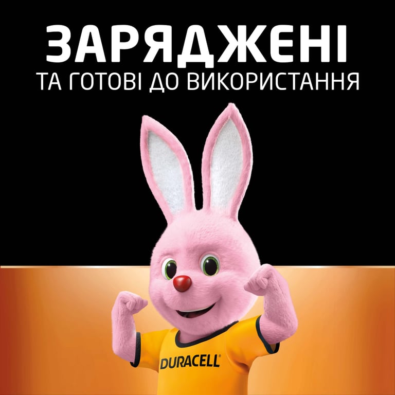 Акумулятор Duracell AA HR6 1300mAh * 2 (5000394039186 / 81367175) - фото 8