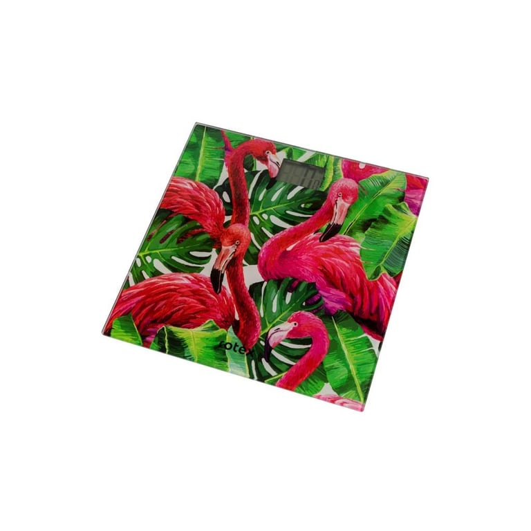 Ваги підлогові Rotex RSB06-P - фото 2