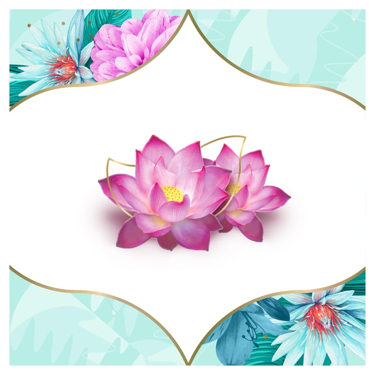 Щоденні прокладки Discreet Deo Water Lily 60 шт. (8001090170354/8700216152983) - фото 5