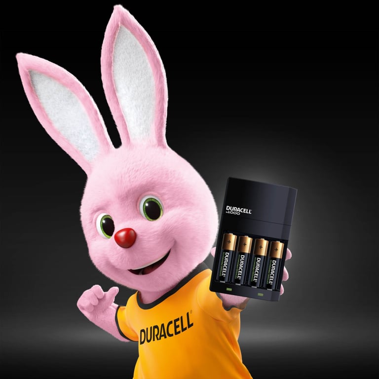 Зарядний пристрій для акумуляторів Duracell CEF14, 4 години, 1 шт. (Includes 2 AA1300mAh & 2 AAA750mAh) (5007497 / 5004990) - фото 3