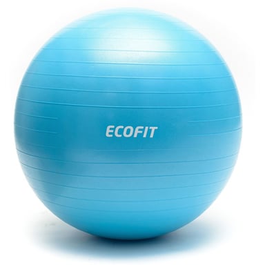 М'яч для фітнесу Ecofit MD1225 65см/1100 гр (К00015205) - фото 1
