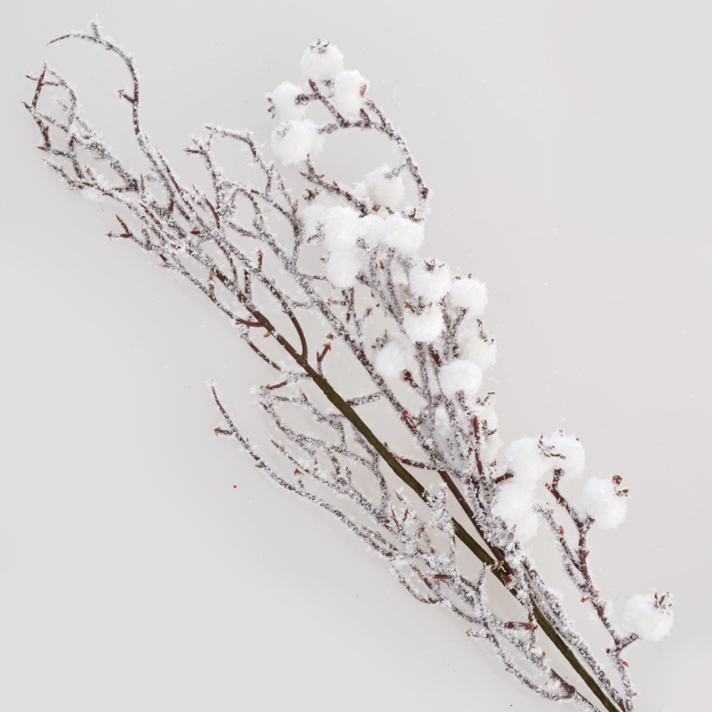 Декоративна гілка YES! Fun засніжена з ягодами, 23 см (973251) - фото 1