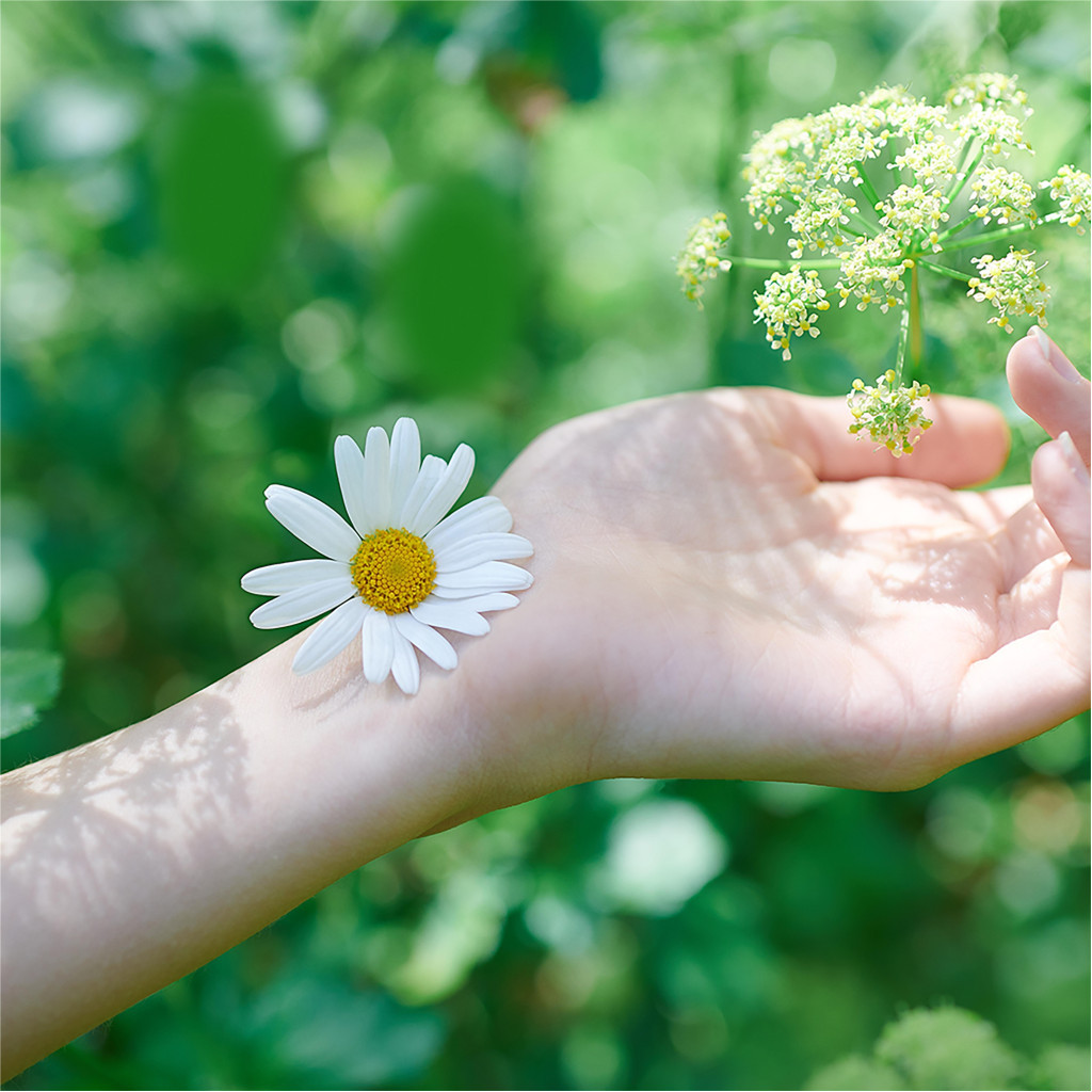 Гігієнічні прокладки Naturella Ultra Normal 20 шт (8001090585592) - фото 6 Гігієнічні прокладки Naturella Ultra Normal 20 шт (8001090585592) - фото 6