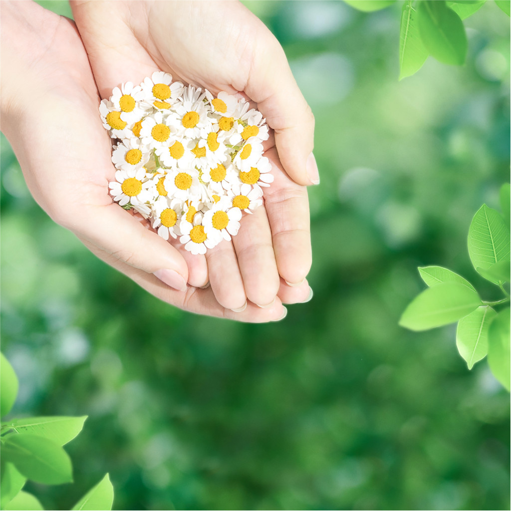 Гігієнічні прокладки Naturella Ultra Normal 20 шт (8001090585592) - фото 7 Гігієнічні прокладки Naturella Ultra Normal 20 шт (8001090585592) - фото 7