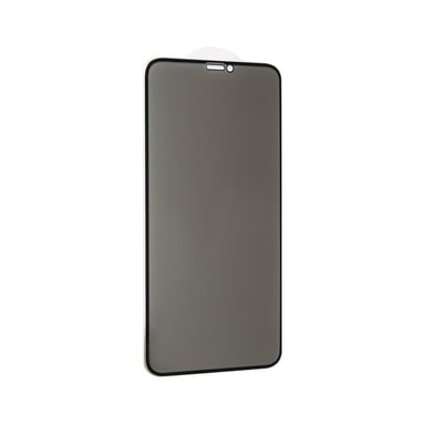Скло захисне Gelius Pro 5D Privasy Glass for iPhone XS Max Black (00000070959) - фото 1