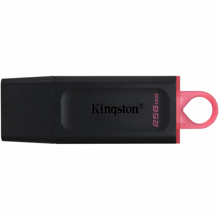 USB флеш накопичувач Kingston 256GB DataTraveler Exodia Black/Pink USB 3.2 (DTX/256GB) - фото 1