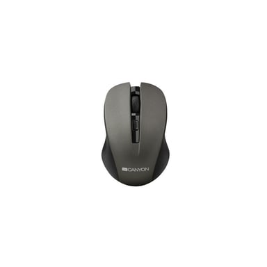 Мишка Canyon MW-1 Wireless Gray (CNE-CMSW1G) - фото 1
