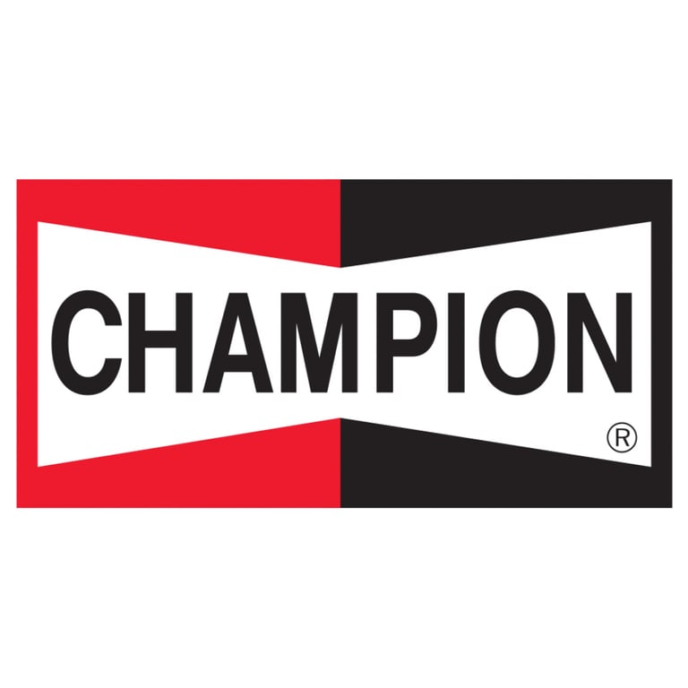 Повітряний фільтр для автомобіля Champion CAF100883P