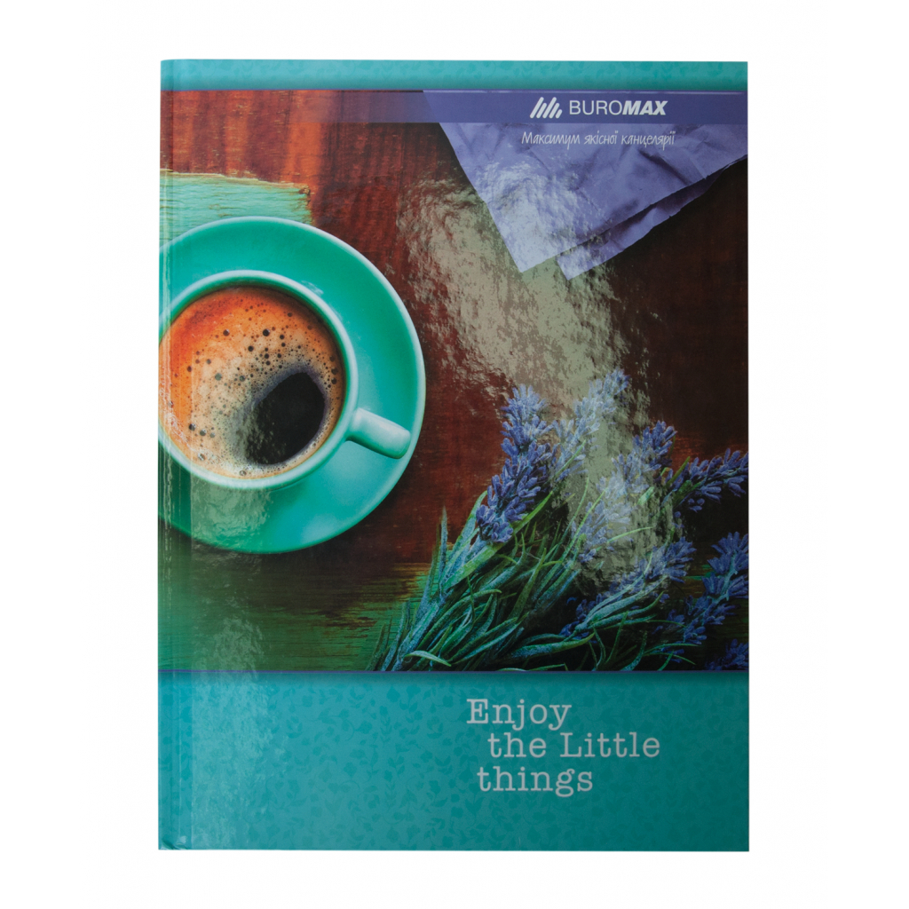 Канцелярська книга Buromax Romantic А4 в лінійку 96 аркушів (BM.2401-206) - головне фото