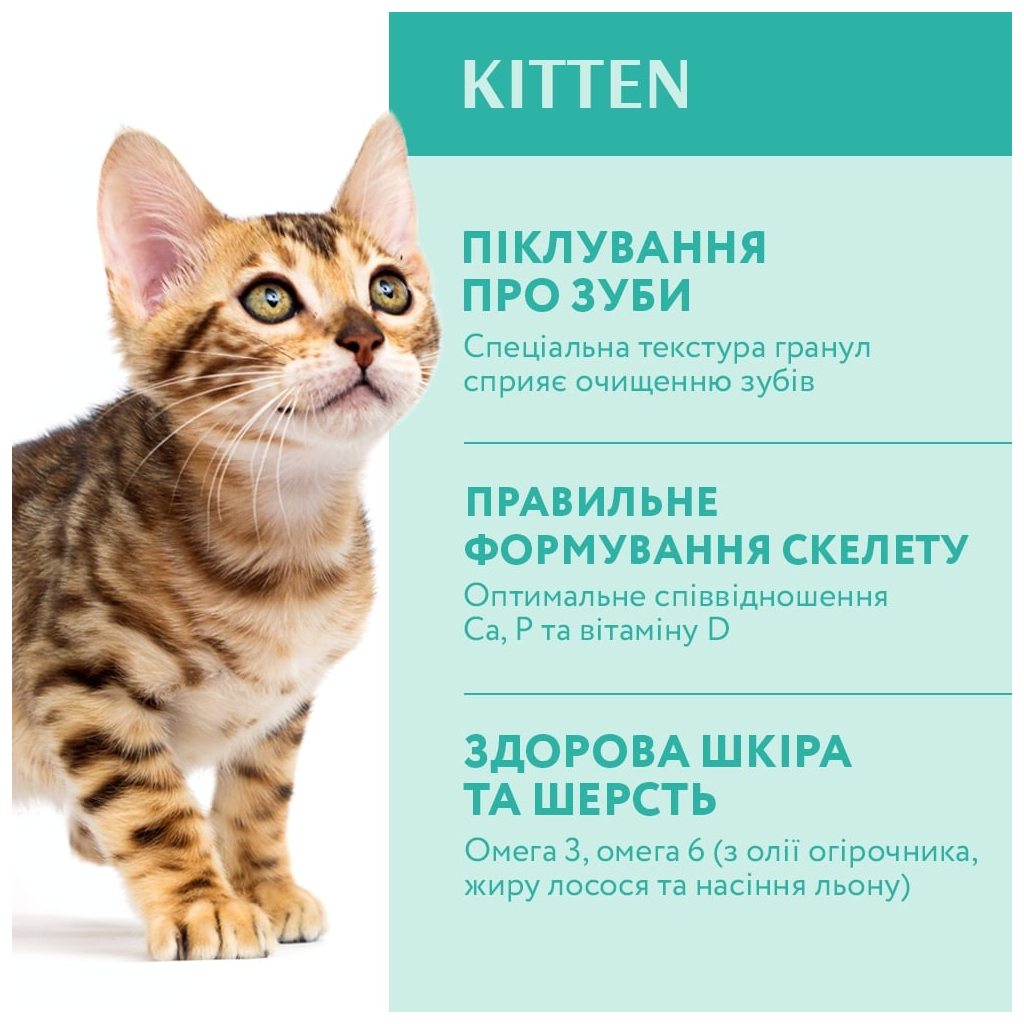 Сухий корм для кішок Optimeal для кошенят зі смаком курки 700 г (4820215364706) - фото 3 Сухий корм для кішок Optimeal для кошенят зі смаком курки 700 г (4820215364706) - фото 3