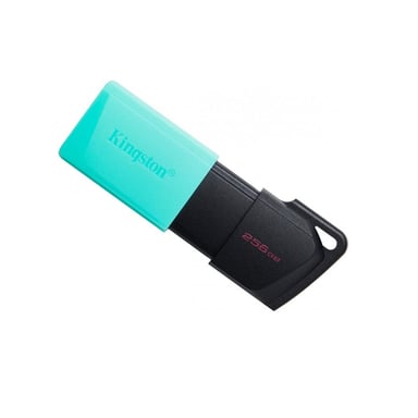 USB флеш накопичувач Kingston 256GB DataTraveler Exodia M USB 3.2 (DTXM/256GB) - фото 1