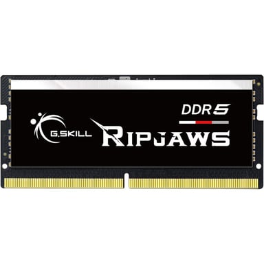 Модуль пам%27яті для ноутбука SoDIMM DDR5 16GB 4800 MHz Ripjaws G.Skill (F5-4800S4039A16GX1-RS)