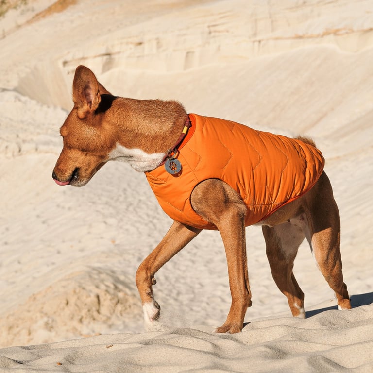 Жилет для тварин Pet Fashion "E.Vest" М помаранчевий (4823082424313) - фото 4