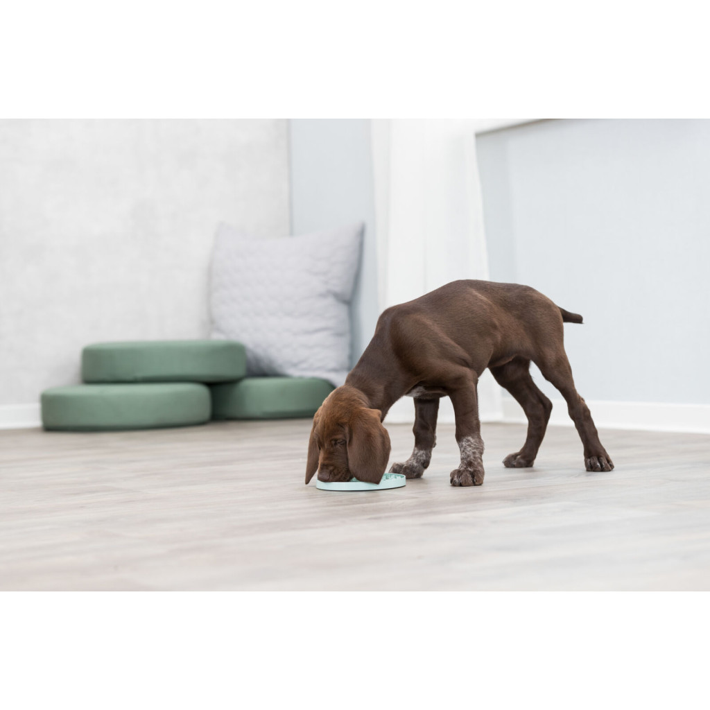 Посуд для собак Trixie Миска «Junior» для повільного годування 15 см (м'ятний) (4011905349541) - фото 6 Посуд для собак Trixie Миска «Junior» для повільного годування 15 см (м'ятний) (4011905349541) - фото 6