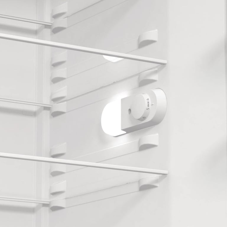 Холодильник Gorenje R619EEW5 - фото 7
