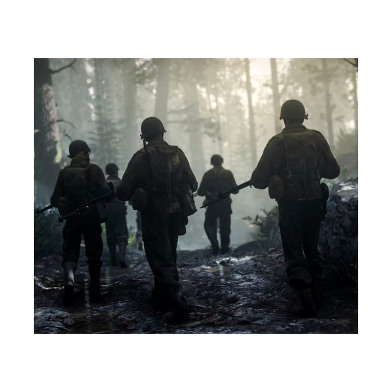 Гра Sony Call of Duty WWII [PS4] (1101406) - фото 3