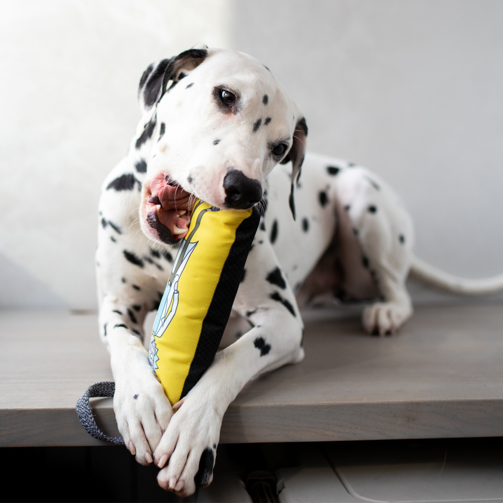 Іграшка для собак WAUDOG Fun "Рік і Морті 2" з пискавкою S (629-0281) - фото 3 Іграшка для собак WAUDOG Fun "Рік і Морті 2" з пискавкою S (629-0281) - фото 3