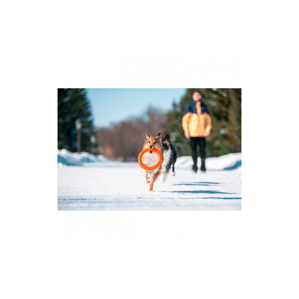 Іграшка для собак Collar PitchDog Кільце для апортування 17 см помаранчеве (62364) - фото 4 Іграшка для собак Collar PitchDog Кільце для апортування 17 см помаранчеве (62364) - фото 4