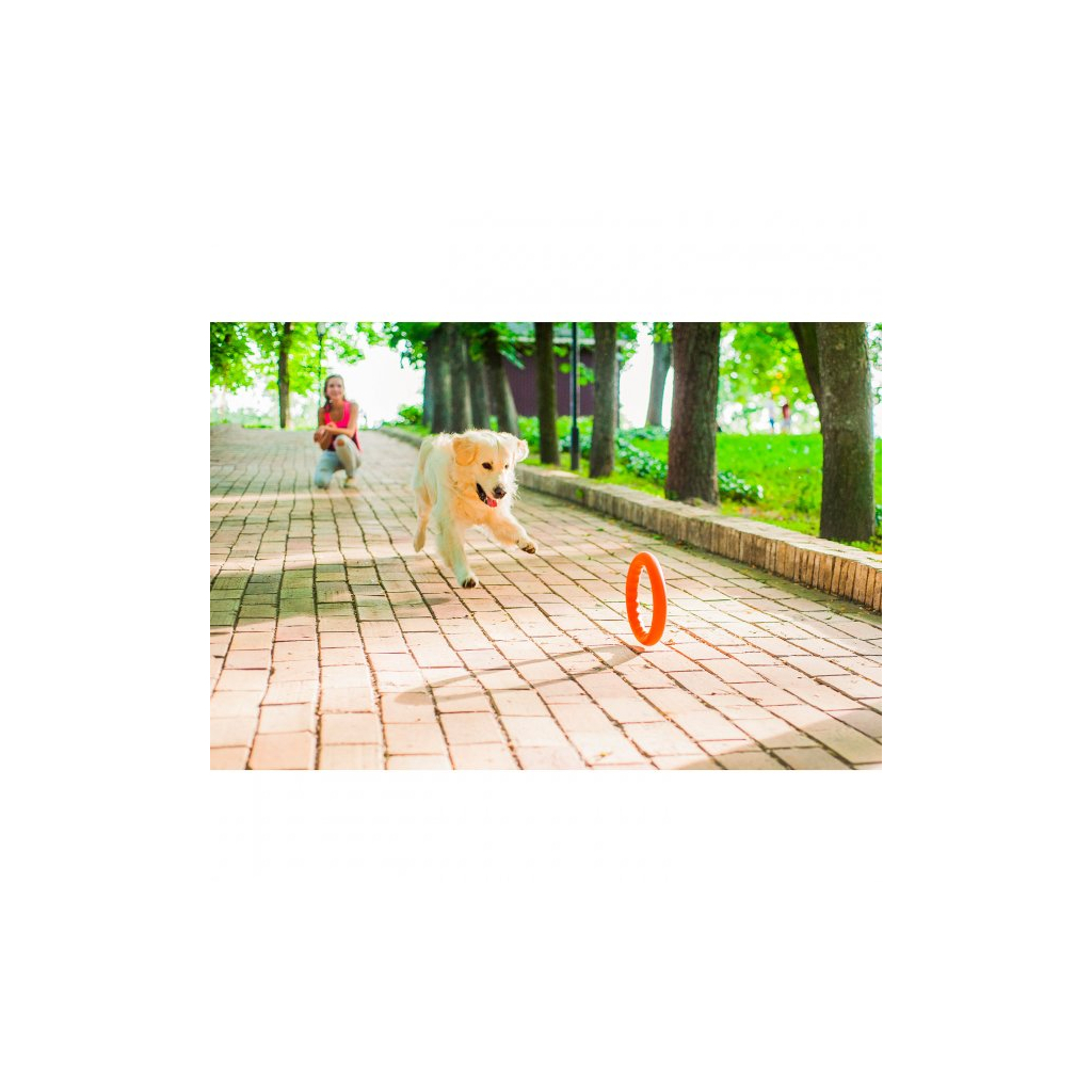 Іграшка для собак Collar PitchDog Кільце для апортування 17 см помаранчеве (62364) - фото 6 Іграшка для собак Collar PitchDog Кільце для апортування 17 см помаранчеве (62364) - фото 6