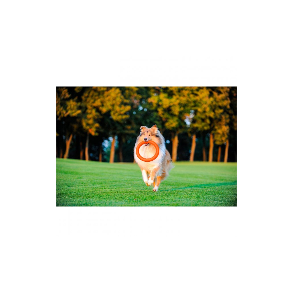 Іграшка для собак Collar PitchDog Кільце для апортування 17 см помаранчеве (62364) - фото 8 Іграшка для собак Collar PitchDog Кільце для апортування 17 см помаранчеве (62364) - фото 8