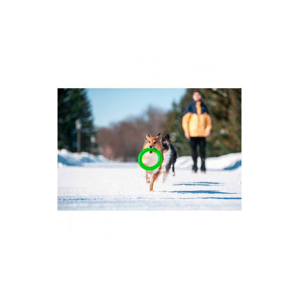 Іграшка для собак Collar PitchDog Кільце для апортування 17 см салатове (62365) - фото 5 Іграшка для собак Collar PitchDog Кільце для апортування 17 см салатове (62365) - фото 5