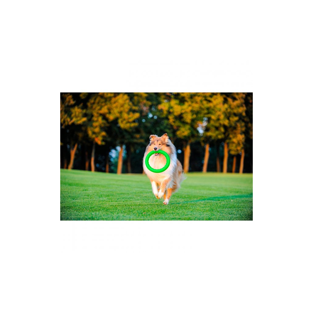 Іграшка для собак Collar PitchDog Кільце для апортування 17 см салатове (62365) - фото 7 Іграшка для собак Collar PitchDog Кільце для апортування 17 см салатове (62365) - фото 7