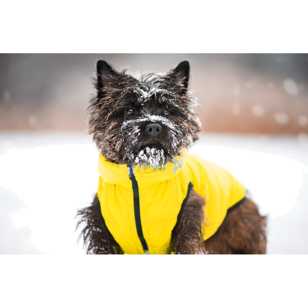 Курточка для тварин Collar AiryVest "Colors of freedom" XS 25 (4440-4020) - фото 2 Курточка для тварин Collar AiryVest "Colors of freedom" XS 25 (4440-4020) - фото 2