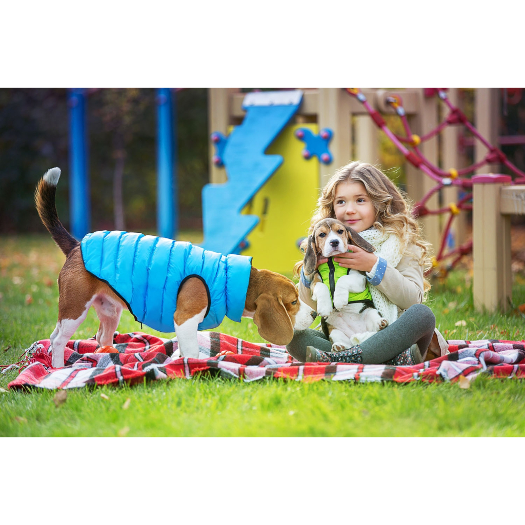 Курточка для тварин Collar AiryVest "Colors of freedom" XS 25 (4440-4020) - фото 6 Курточка для тварин Collar AiryVest "Colors of freedom" XS 25 (4440-4020) - фото 6