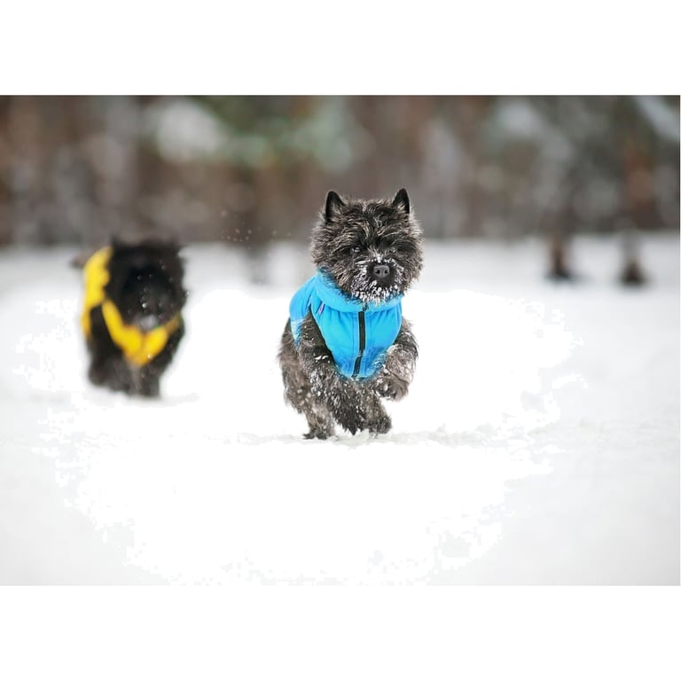 Курточка для тварин Collar AiryVest "Colors of freedom" XS 25 (4440-4020) - фото 7