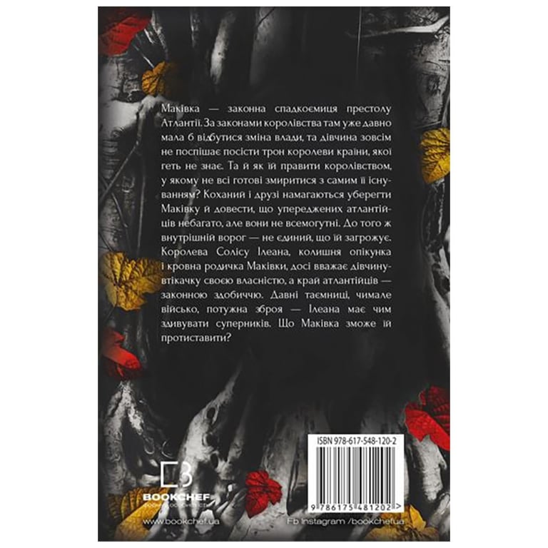 Книга Кров і попіл: Корона з позолочених кісток - Дженніфер Л. Арментраут BookChef (9786175481202) - фото 3