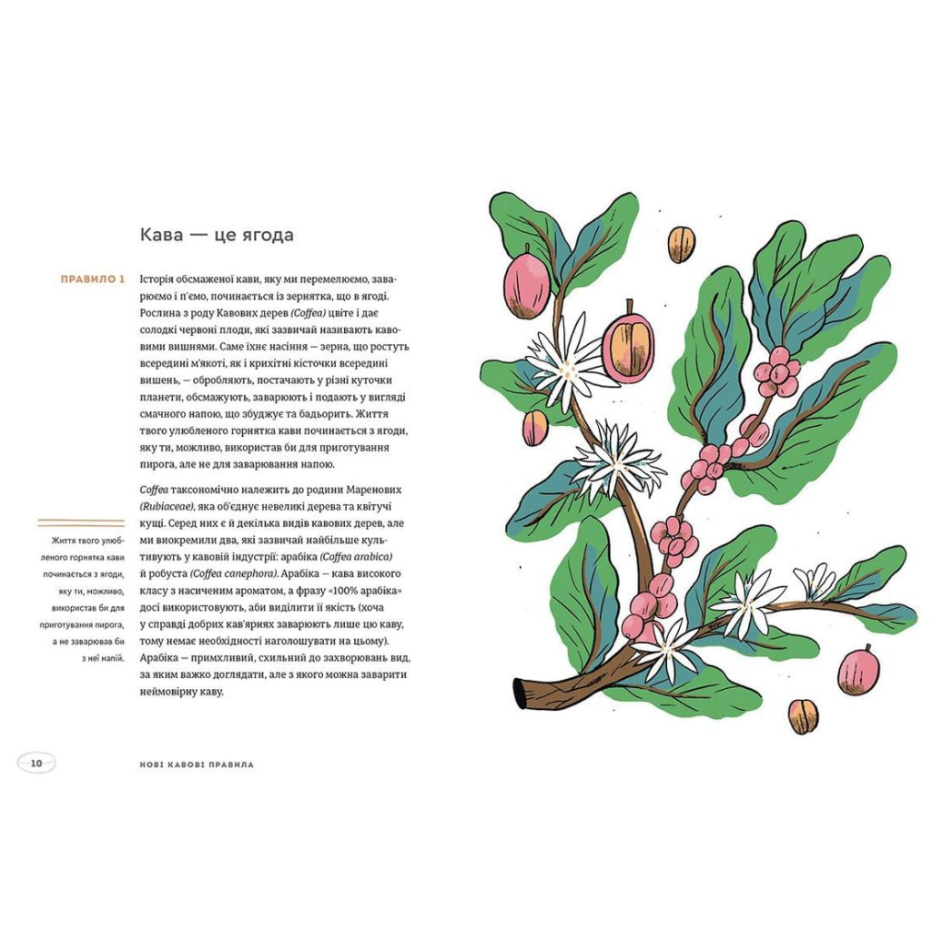 Книга Нові кавові правила - Захарі Карлсен, Джордан Майклмен Видавництво Старого Лева (9786176798910) - фото 3 Книга Нові кавові правила - Захарі Карлсен, Джордан Майклмен Видавництво Старого Лева (9786176798910) - фото 3