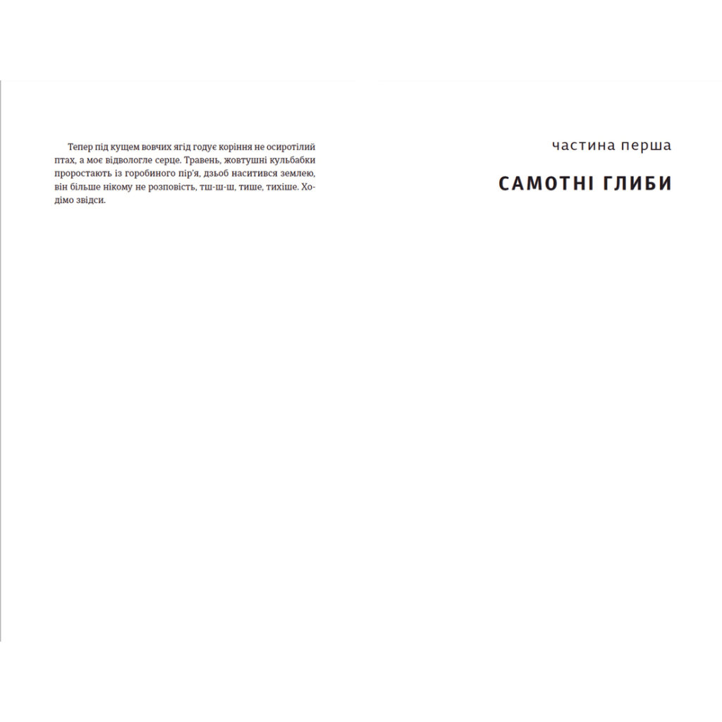 Книга Її порожні місця - Анна Грувер Видавництво Старого Лева (9789664480502) - фото 5 Книга Її порожні місця - Анна Грувер Видавництво Старого Лева (9789664480502) - фото 5