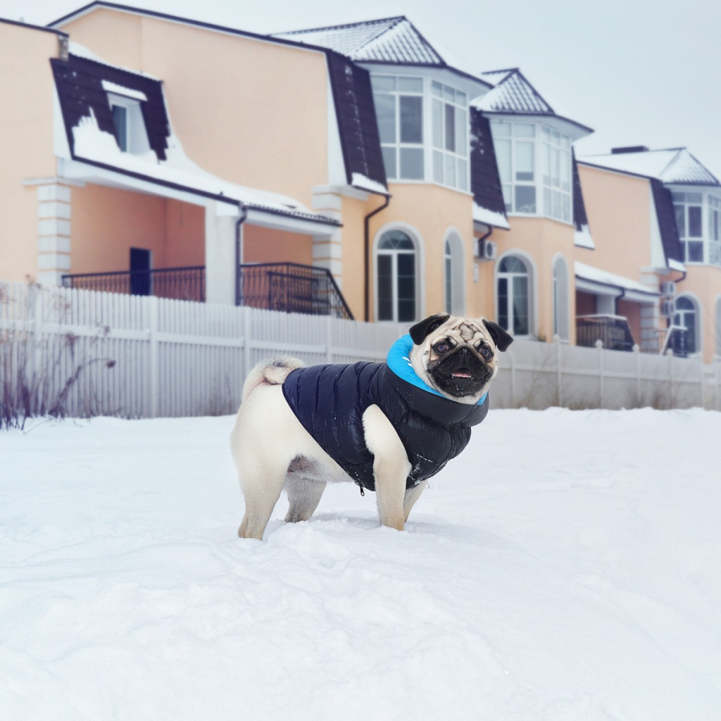 Курточка для тварин Airy Vest двостороння M 47 чорно-блакитна (1893) - фото 2 Курточка для тварин Airy Vest двостороння M 47 чорно-блакитна (1893) - фото 2