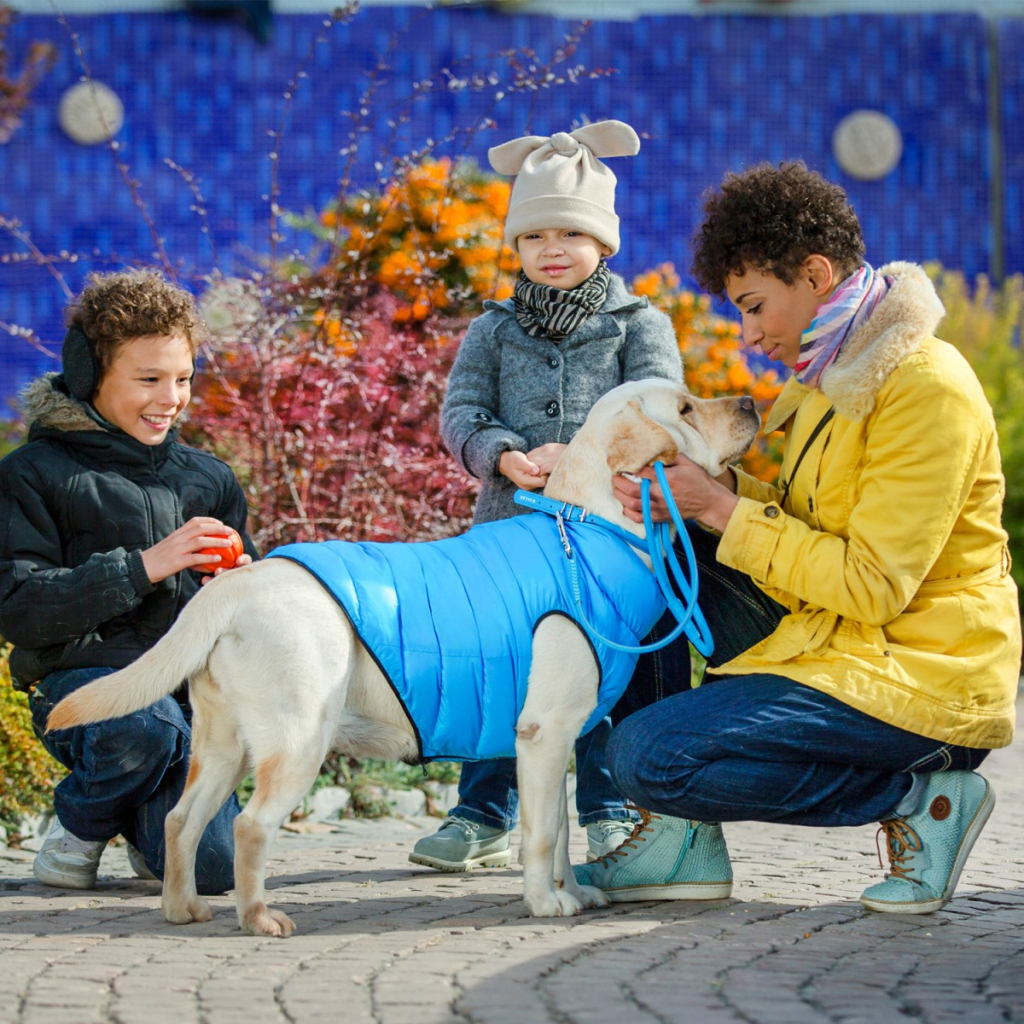 Курточка для тварин Airy Vest двостороння M 47 чорно-блакитна (1893) - фото 5 Курточка для тварин Airy Vest двостороння M 47 чорно-блакитна (1893) - фото 5