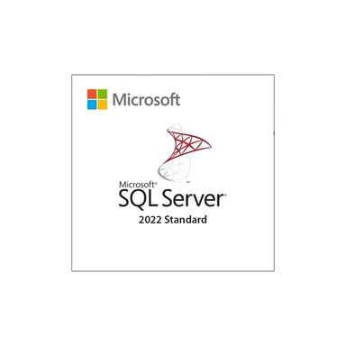 ПЗ для сервера Microsoft SQL Server 2022 Standard Edition Commercial, Perpetual (DG7GMGF0M80J_0002) - фото 1