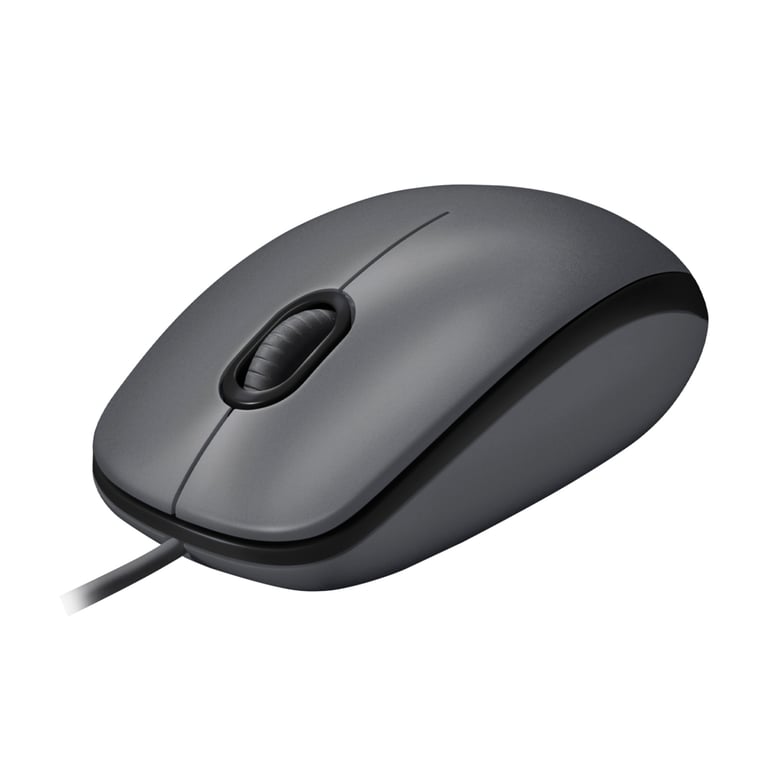 Мишка Logitech M100 USB Black (910-006652) - фото 1