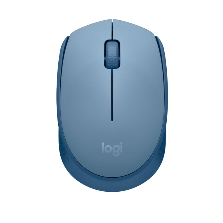 Мишка Logitech M171 Blue Grey (910-006866) - фото 1