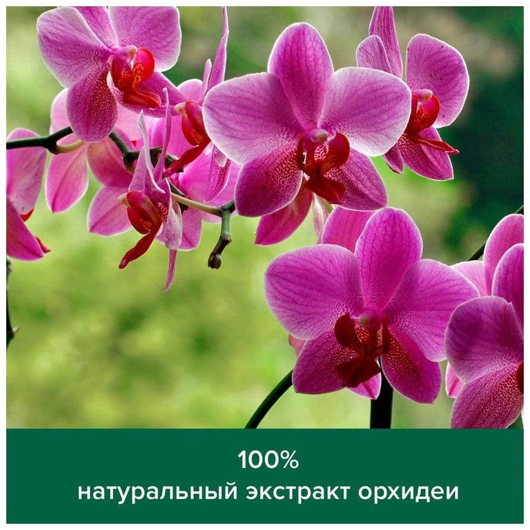 Гель для душу Palmolive Натурель Розкішна м'якість Екстракт чорної орхідеї зі зволожуючим молочком 750 мл (8693495035972) - фото 5