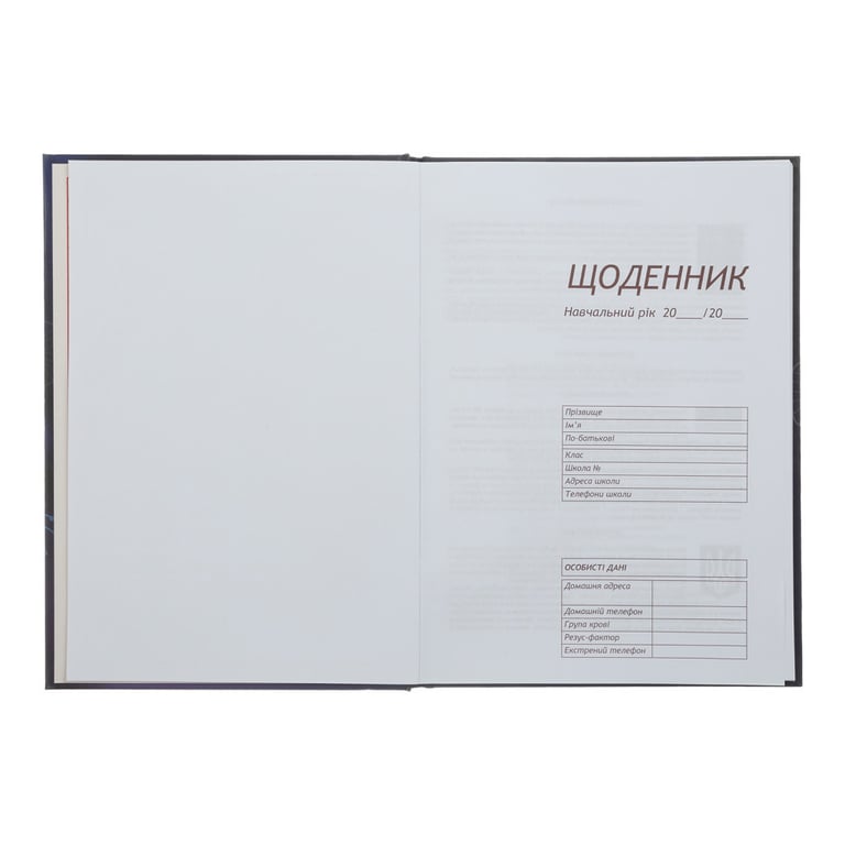 Щоденник шкільний ZiBi Sweet B5 48 аркушів (ZB.13827) - фото 3