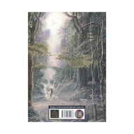 Книга Берен і Лутієн - Джон Р. Р. Толкін Астролябія (9786176641483) - фото 2