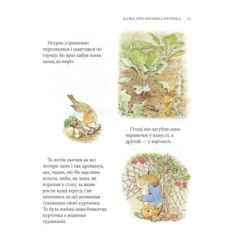 Книга Кролик Петрик та інші історії. Повне зібрання казок - Беатрікс Поттер Астролябія (9786176642558) - фото 12