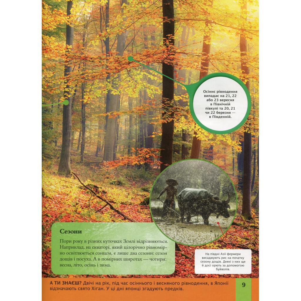 Книга Дитяча енциклопедія планети Земля - Клер Гібберт, Гонор Гед Vivat (9789669429865) - фото 9 Книга Дитяча енциклопедія планети Земля - Клер Гібберт, Гонор Гед Vivat (9789669429865) - фото 9