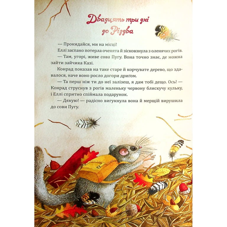 Книга Таємниця різдвяного подарунка - Анна Лотт Vivat (9789669825179) - фото 3