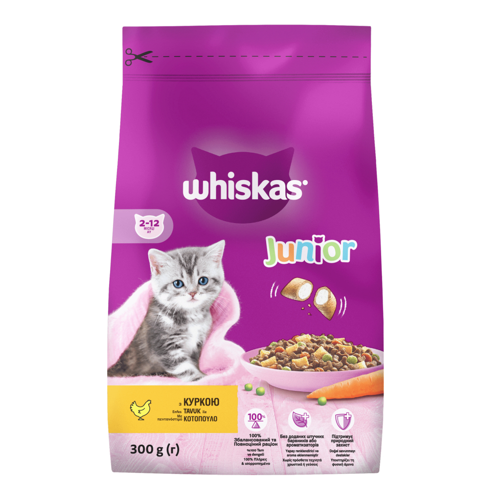 Сухий корм для кішок Whiskas Junior з куркою 300 г (5900951304378/5900951355936) - фото 1