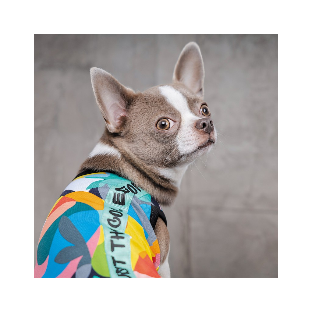 Борцівка для тварин Pet Fashion Cool M різнобарвна (4823082420193) - фото 5 Борцівка для тварин Pet Fashion Cool M різнобарвна (4823082420193) - фото 5