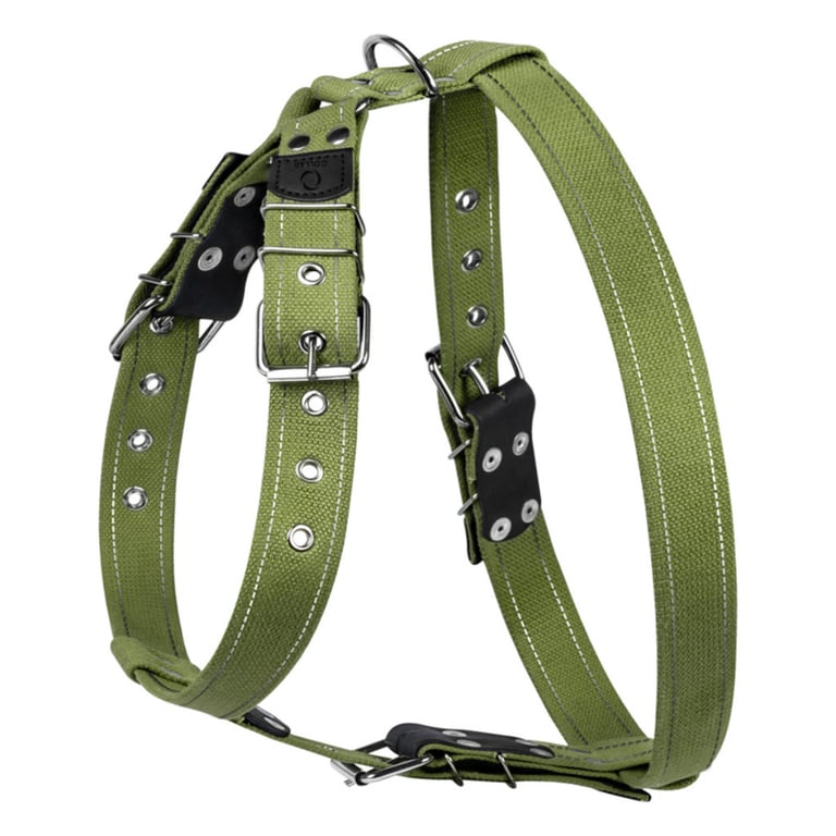 Шлея для собак Collar для великих собак N3 72-94 см зелена (0647) - фото 1